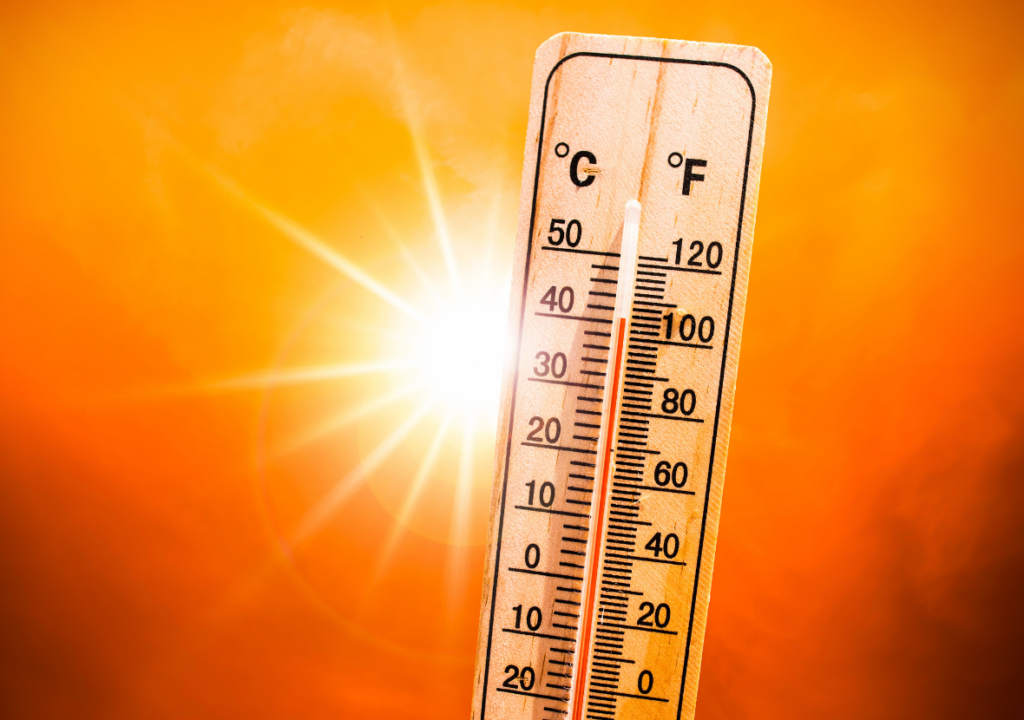 How your employer should be protecting you from heat-related illness