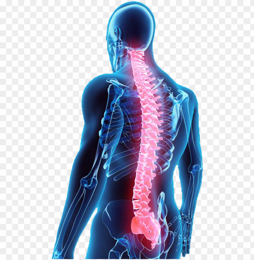 How spinal cord injury claims can help victims improve their quality of life  